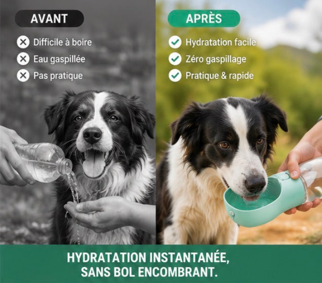 Gourde Portable pour Chien Anti-Fuite™ | Hydratation Facile en Promenade