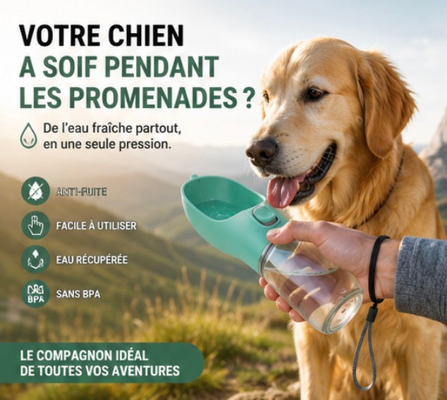 Gourde Portable pour Chien Anti-Fuite™ | Hydratation Facile en Promenade