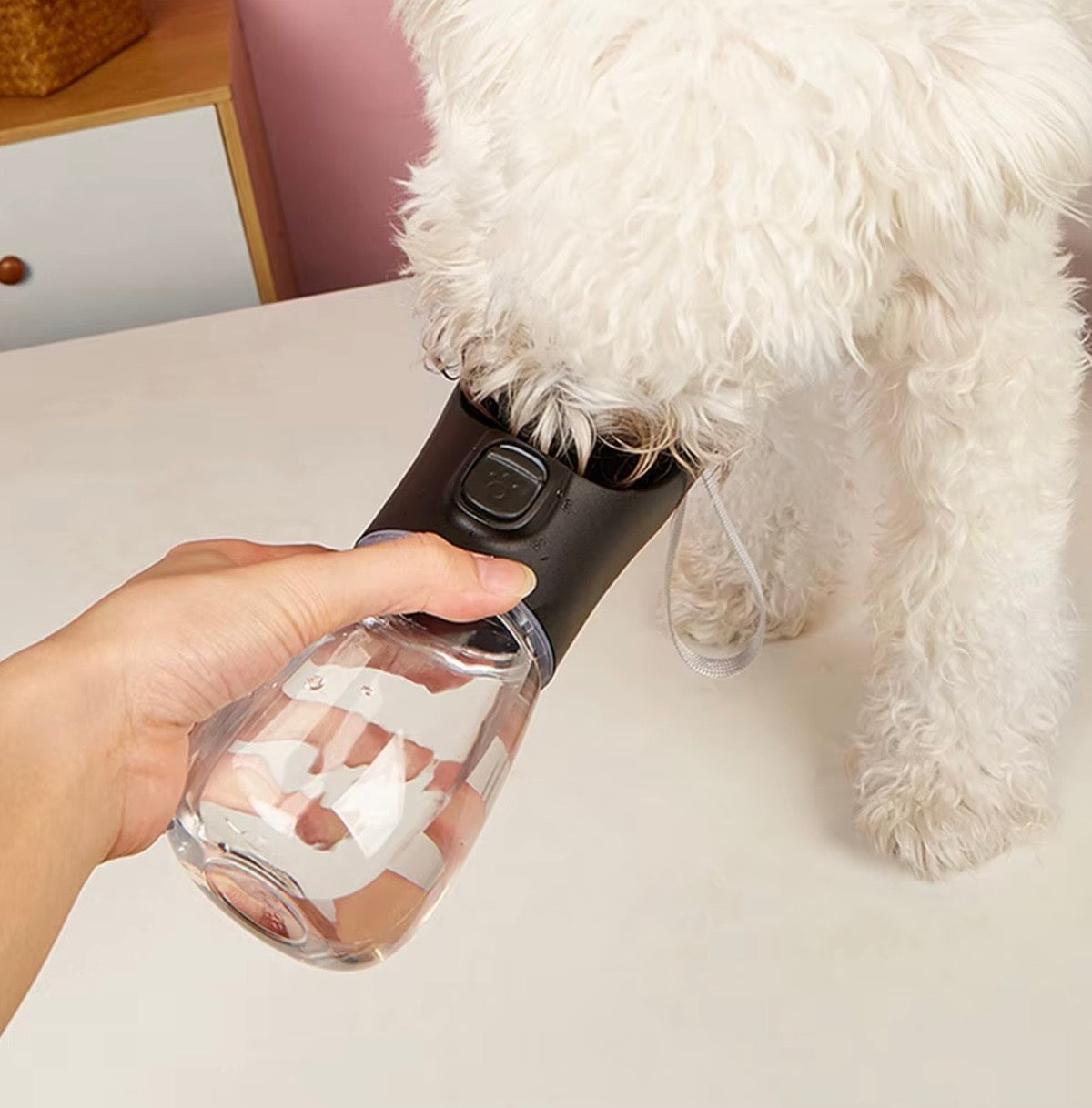 Gourde Portable pour Chien Anti-Fuite™ | Hydratation Facile en Promenade