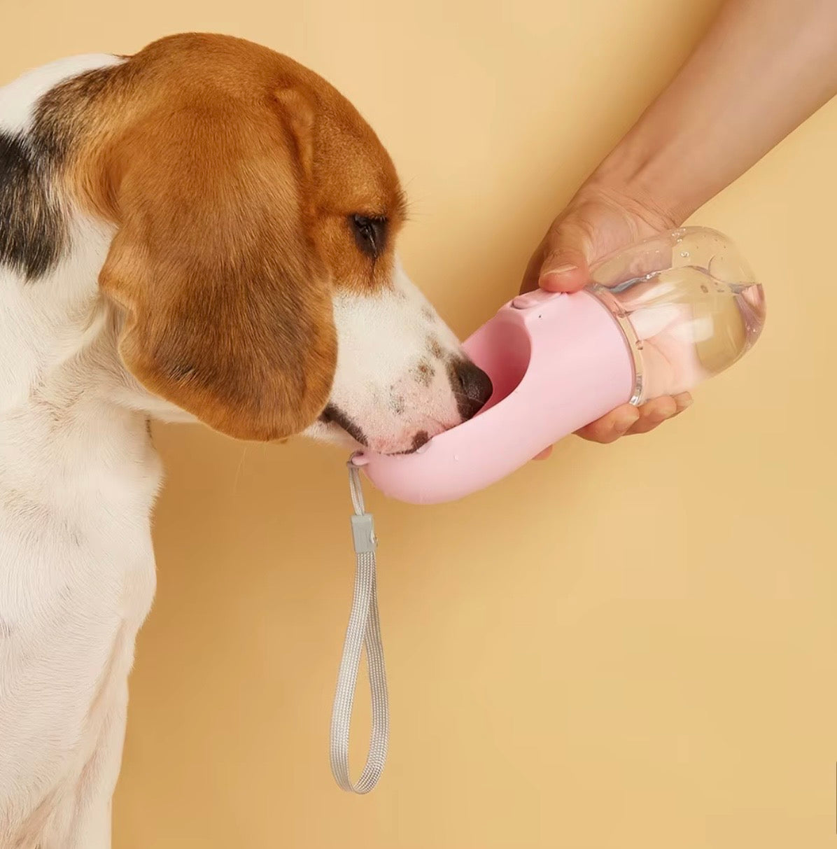 Gourde Portable pour Chien Anti-Fuite™ | Hydratation Facile en Promenade
